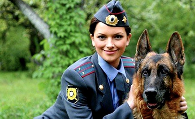 В сериале «Возвращение Мухтара»