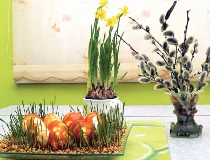 Зерно и крашенки
